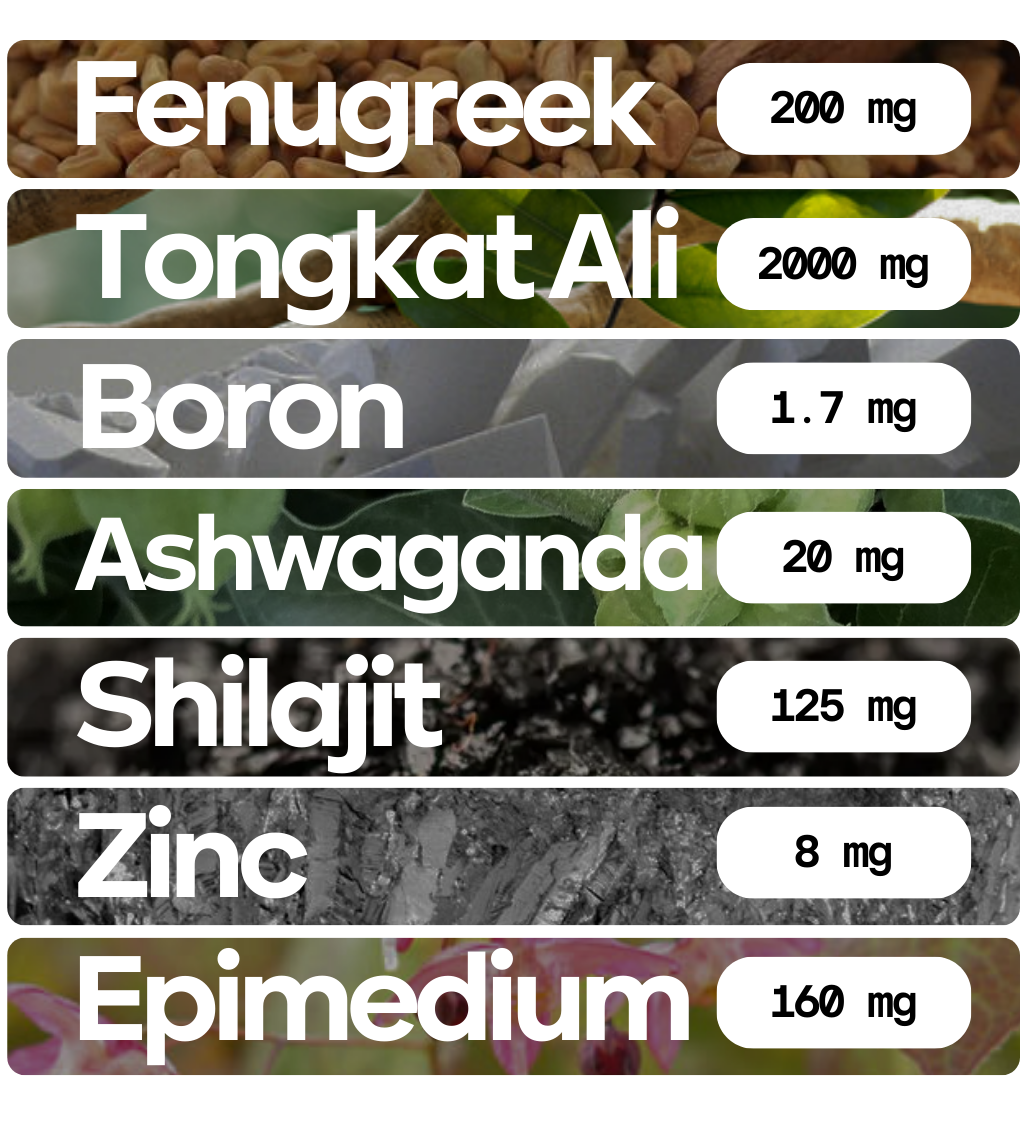 7 Ingredients Packed Into 2 Daily Chews