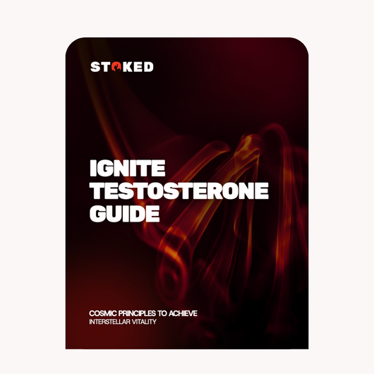 IGNITE Testosterone Guide